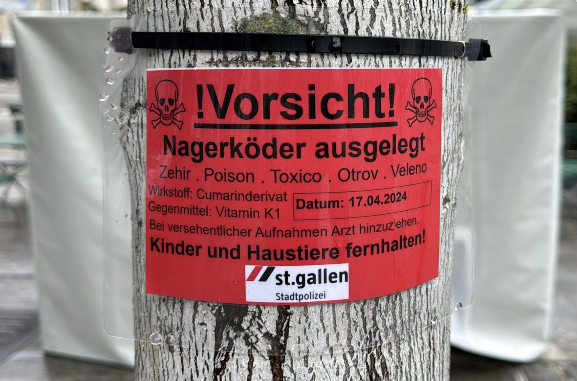 St.Gallen - Gift auf dem Kornhausplatz - Tote Tiere nicht anfassen