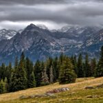 Wetter am 15. Oktober 2024 – Nebel und Regen, dann Föhn und Sonne