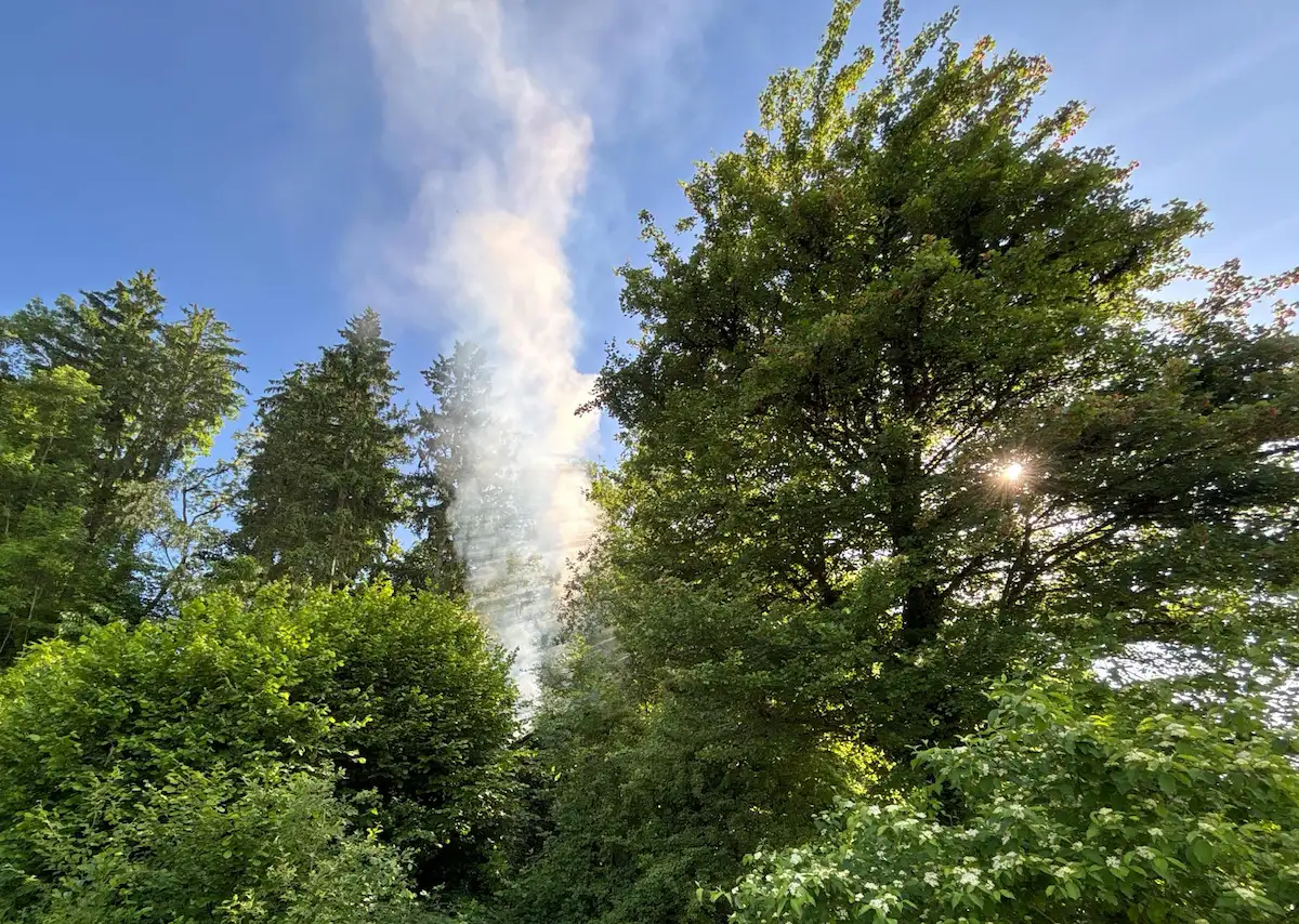  Rauchsäule über Waldgebiet bei Zuchwil sichtbar