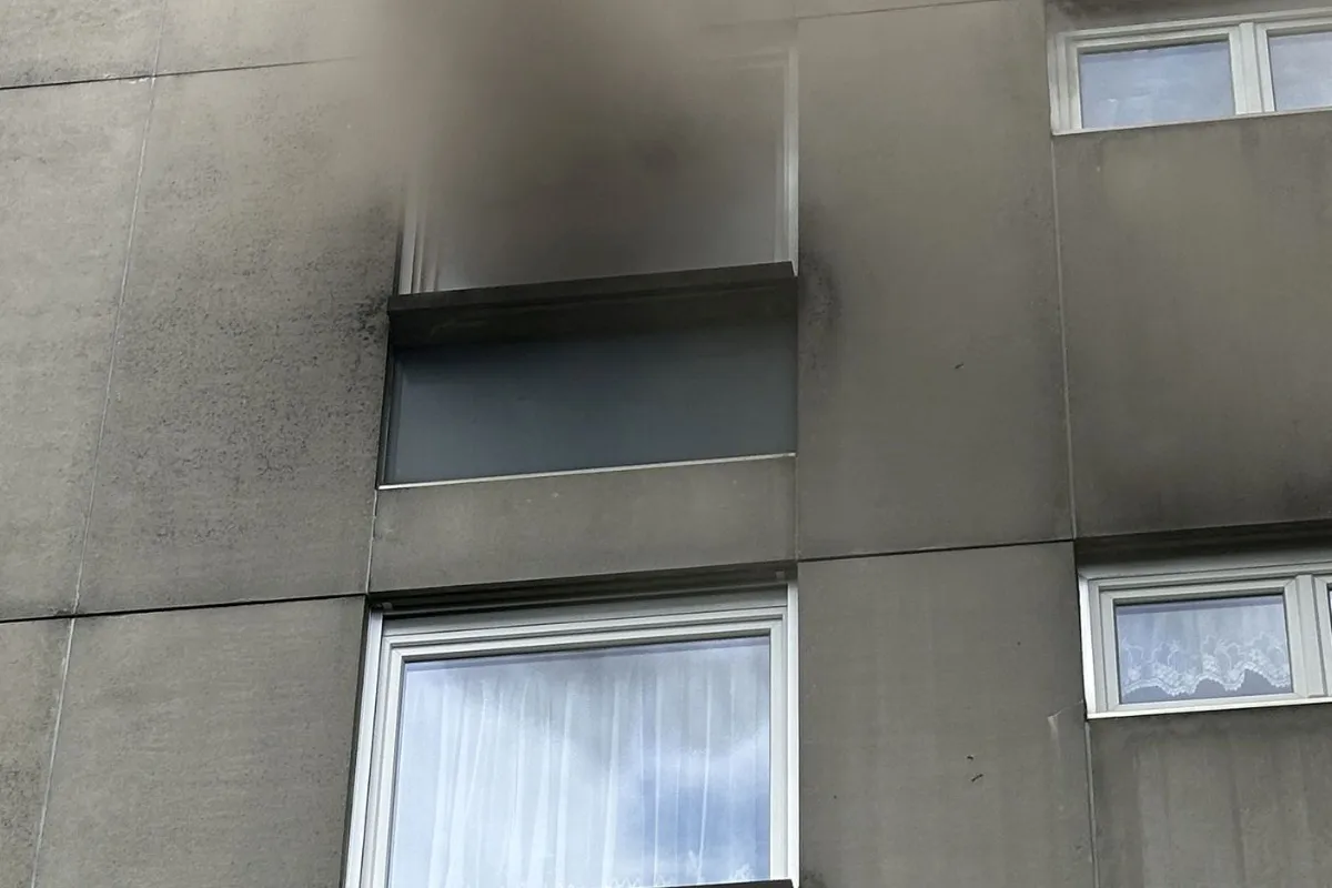 Wohnungsbrand in Pratteln BL – Bewohnerin verletzt