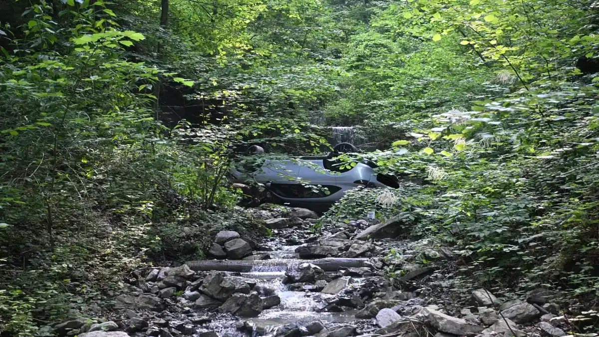 Überschlagenes Fahrzeug in dicht bewachsenem Bachbett der Nendler Rüfe im Wald.