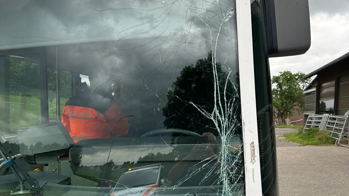 Unfall St. Margarethen TG: Lieferwagen flüchtet nach Kollision mit Linienbus