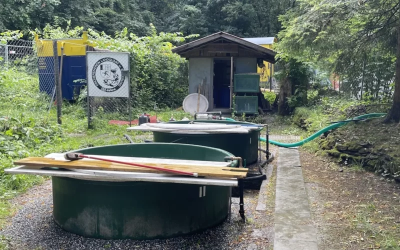 Fischzuchtanlage in Malans – Blick auf Wasserbecken der Anlage Felsenbach