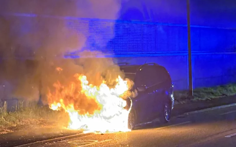 Nebikon LU: Auto gerät in Brand – niemand verletzt