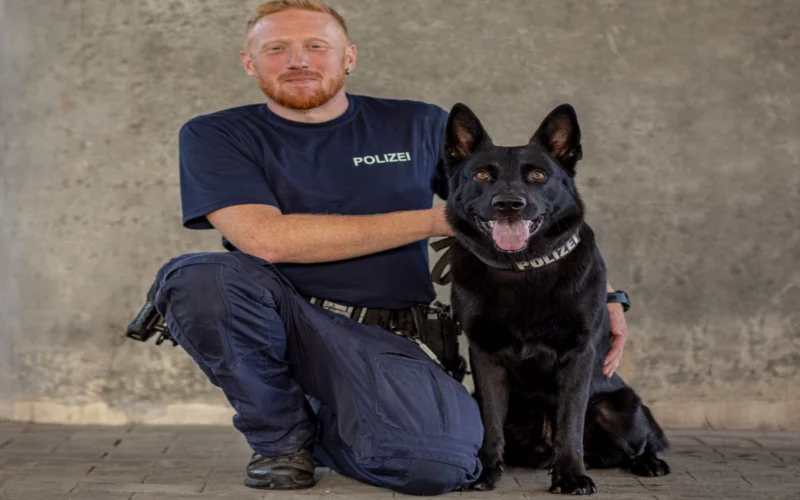 Einbruch in Therwil BL: Diensthund Clay stellt Täter