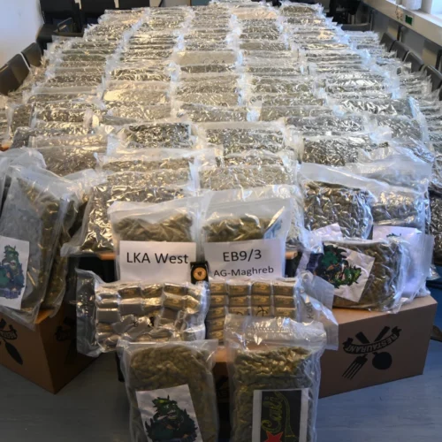 Wien AT: Über 300 Kilo Cannabis in Sattelzug entdeckt – drei Festnahmen