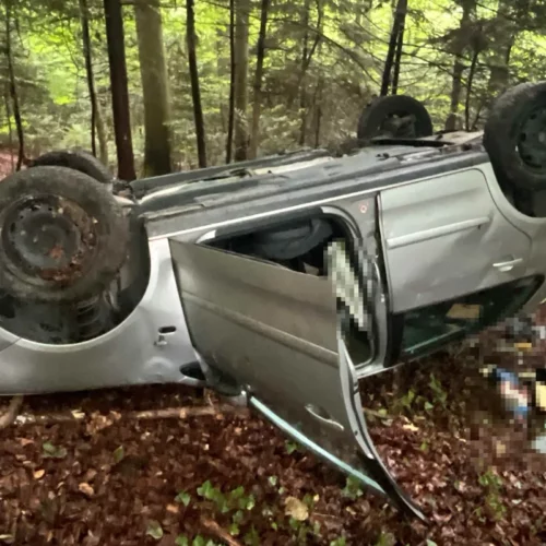 Dornach SO: Was hinter dem rätselhaften Unfall in der Waldböschung steckt