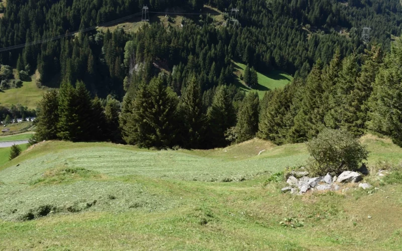 Traktor-Unfall am Lukmanierpass GR – Landwirt verletzt