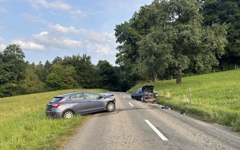 Ammerswil AG: Frontalcrash auf der Dintikerstrasse – zwei Verletzte