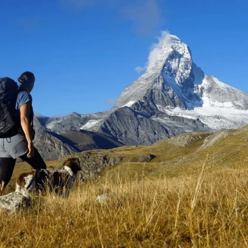 Auswanderung Schweiz: So viele verlassen jährlich das Land