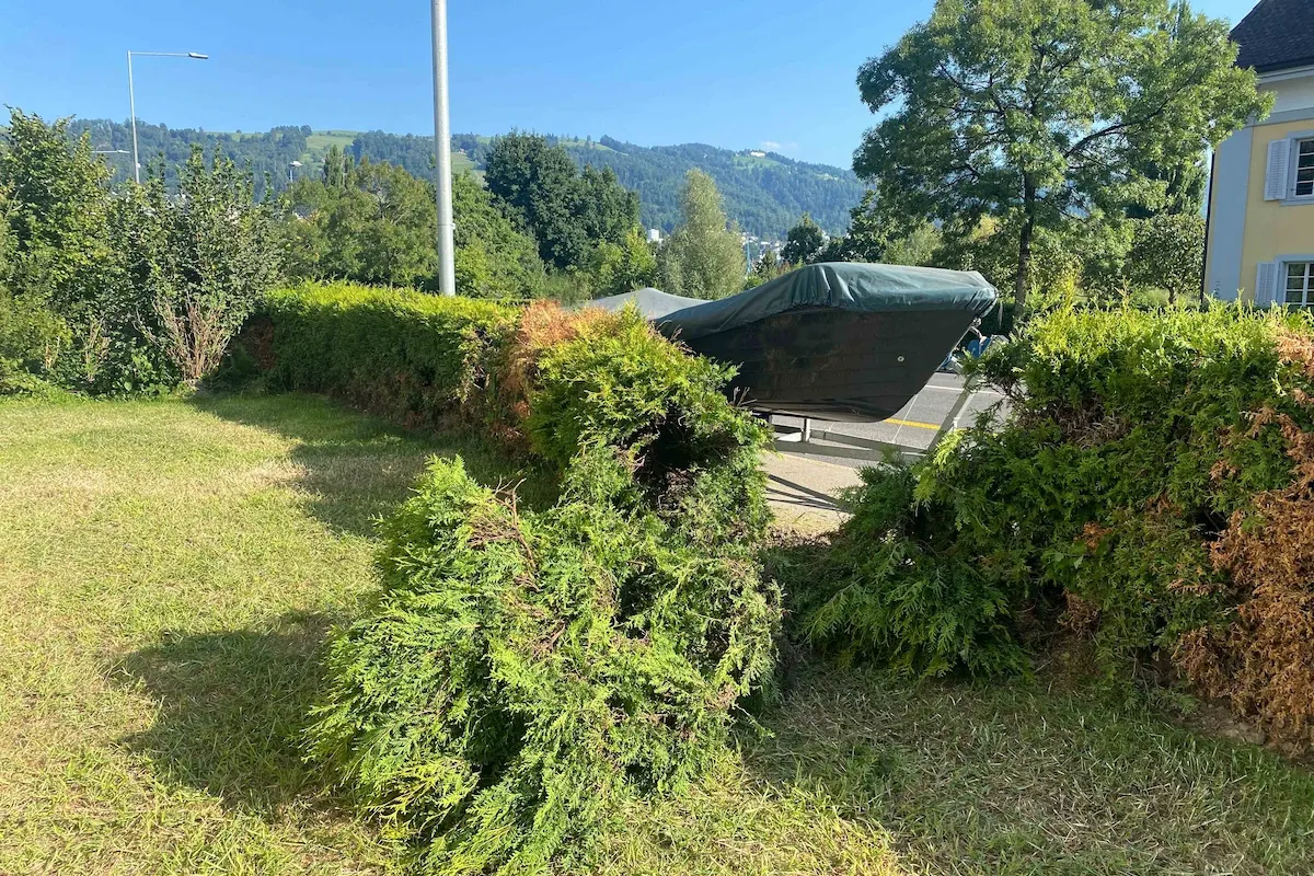 Bootsanhänger mit Boot durchbricht in Zug eine Hecke und kommt auf Rasenfläche zum Stillstand