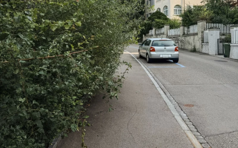 Vorsicht, Hecken! Stadt ruft zum Rückschnitt auf
