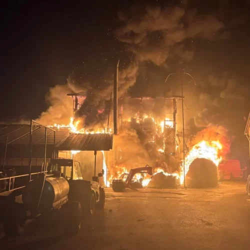 Schellenberg FL: Grossbrand in Stall – über 100 Einsatzkräfte vor Ort