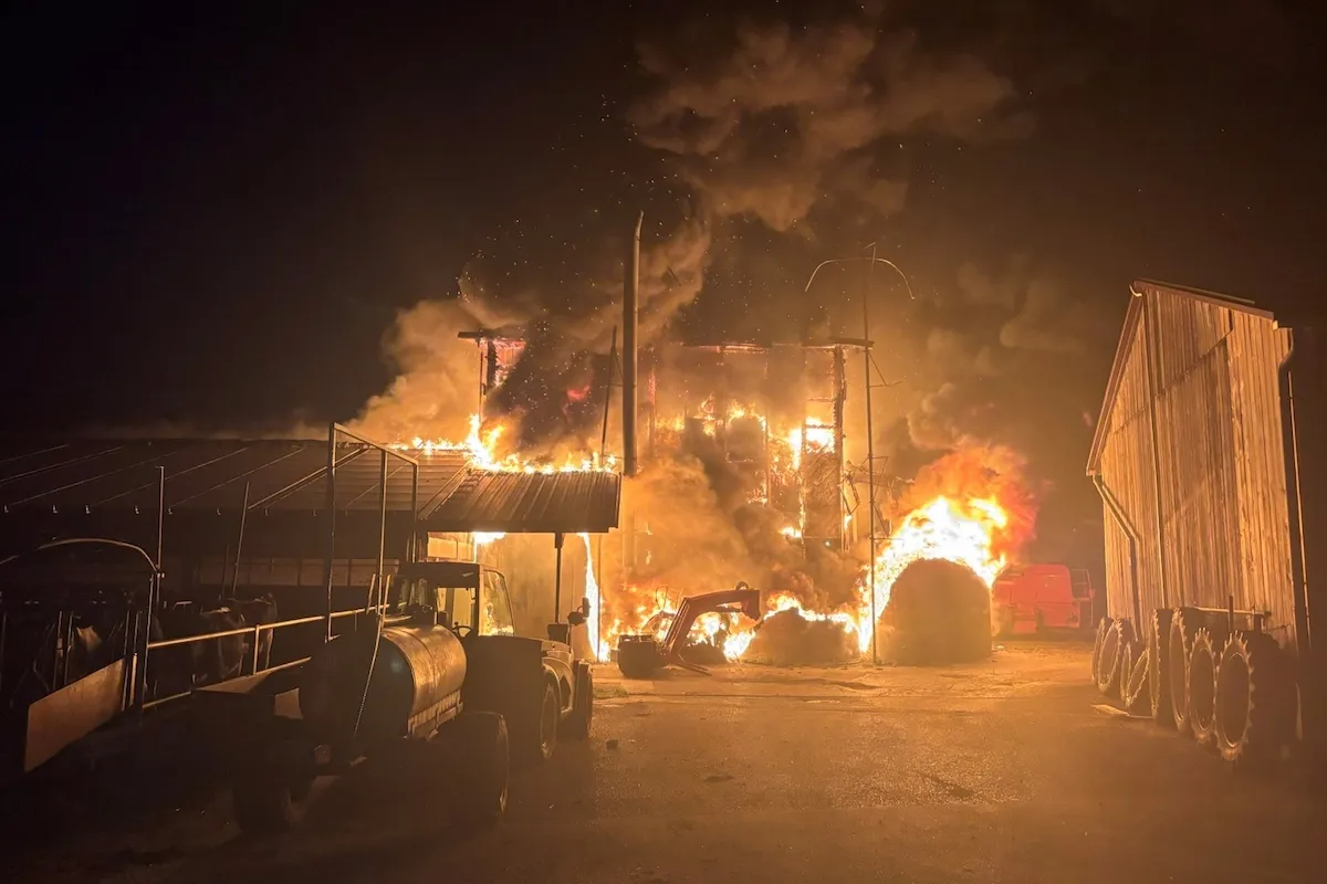 Stall in Schellenberg steht in der Nacht vollständig in Flammen
