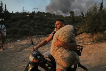 BBC kürt Foto: Albanischer Mann rettet Schaf aus den Flammen