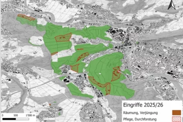 Waldpflege und Holzernte im Badener Wald AG von Oktober 2025 bis März 2026